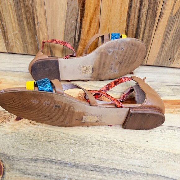 Aldo Snakeskin Summer Flat Gladiator Sandal - Picture 5 of 6